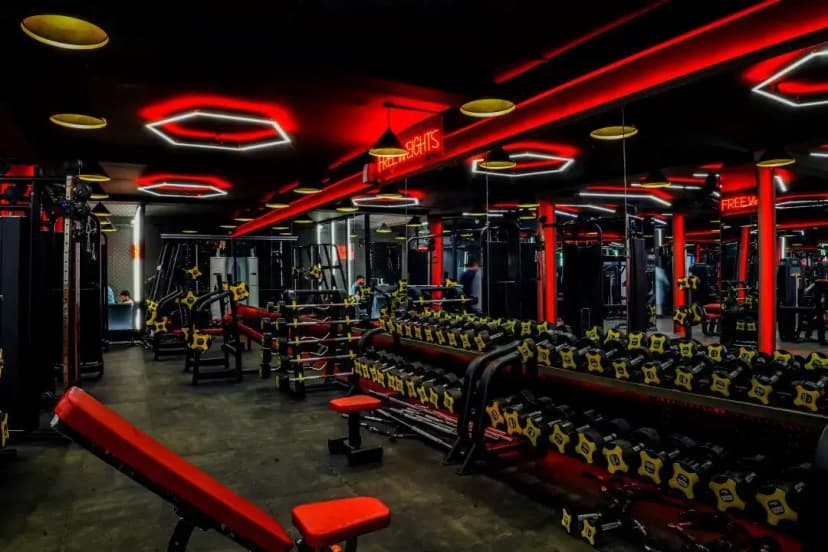 Longevity gym gallery