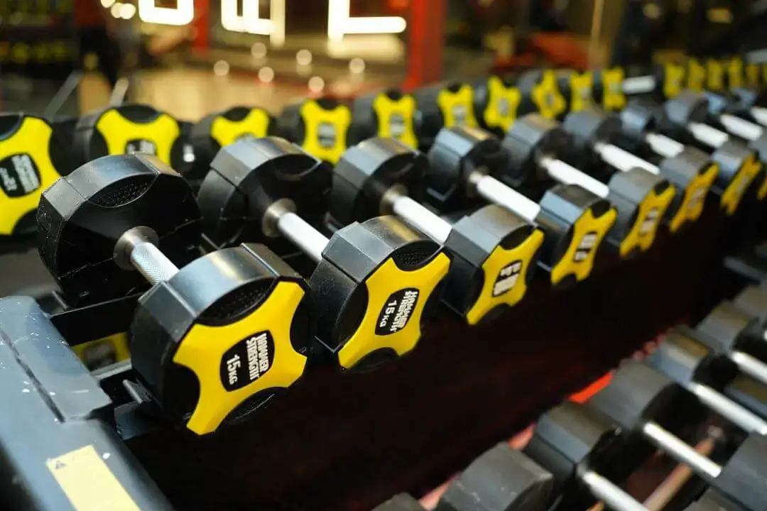 Longevity gym gallery